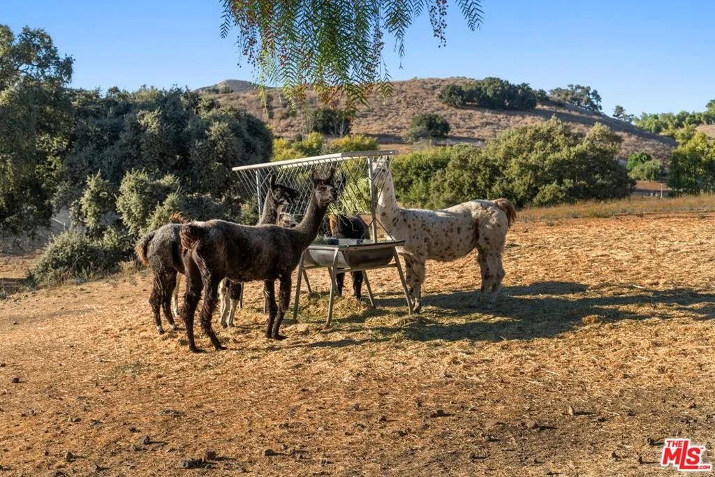 Santa Ynez, California 93460, United States, 45 Bedrooms Bedrooms, ,46 BathroomsBathrooms,Residential,Active,234760