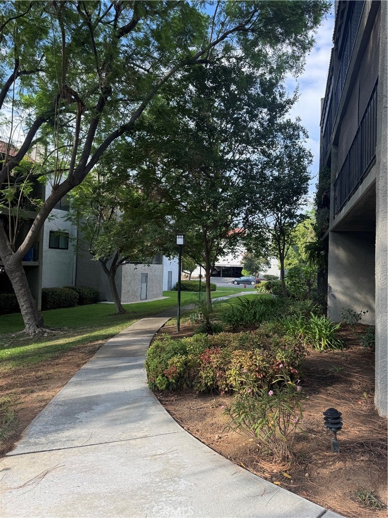 242 E Fern 205