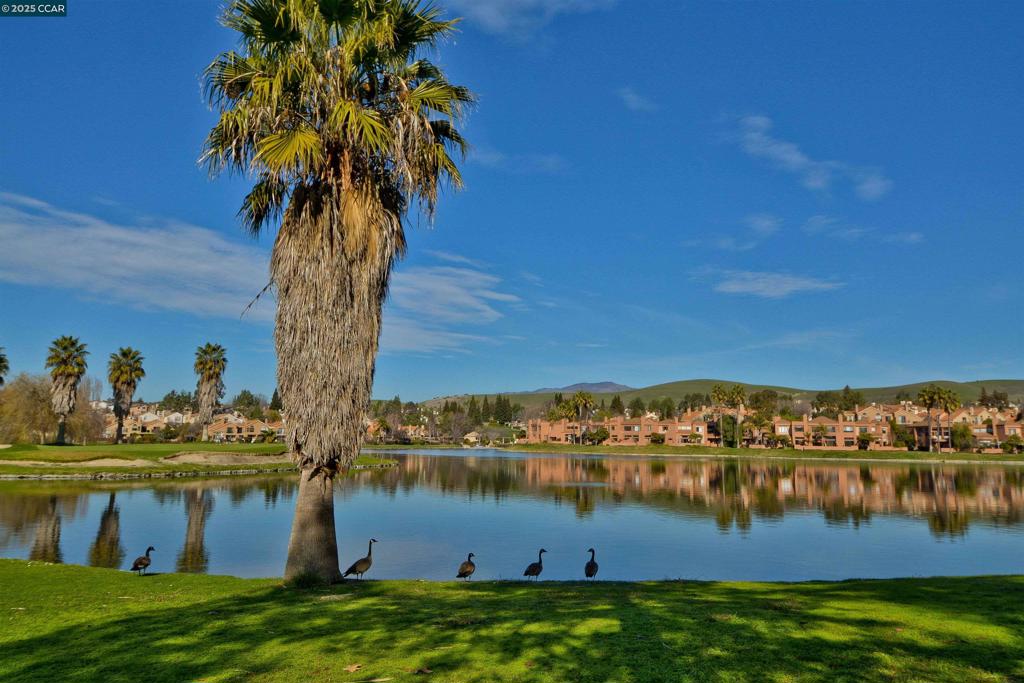 CANYON LAKES - Residential