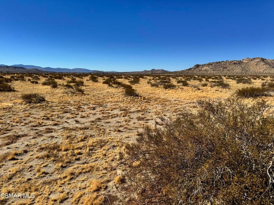 This parcel is about 3 miles away from challenger middle school and an elementary school. There is also a gasoline station nearby and the major road near the parcel is 170th st.