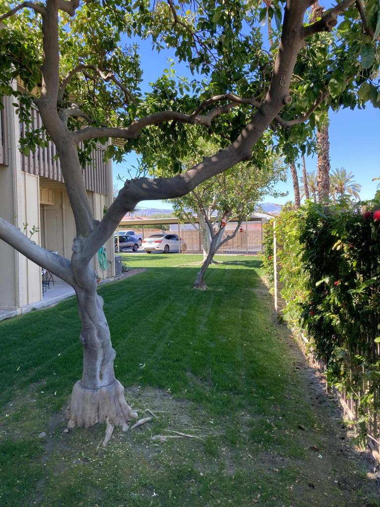 77805 California Drive A2