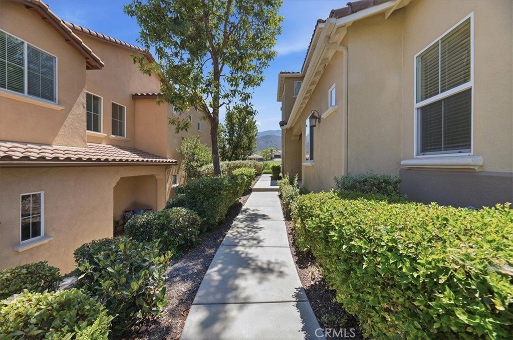 8879 Cuyamaca