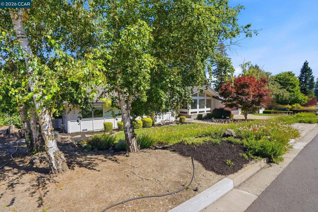 260 Corliss Dr Dr, Moraga CA 94556