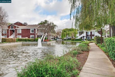 Tiny photo for 161 161 Marina Lakes Dr Dr, Richmond, CA 94804 (MLS # 41126331)