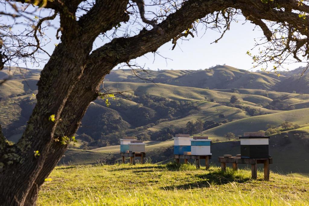 28000 Underwood Road