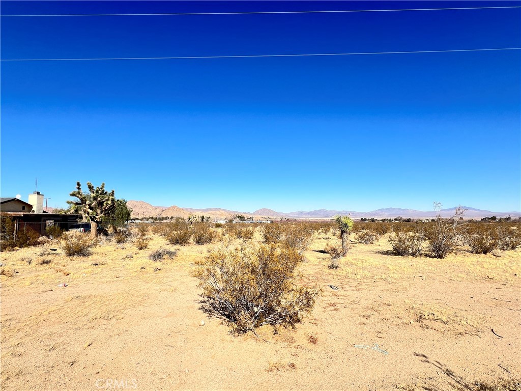 Prime Land Opportunity in Lucerne Valley, CA! Nestled in the serene high desert, this spacious vacant lot offers breathtaking mountain views, dark starry nights, and the peacefulness of rural living—all while being conveniently close to town. Located just one lot in from Custer on Morningside Rd, this parcel is ready for your dream home or investment, with power available at the lot and gas nearby for easy utility access.
Enjoy unobstructed buildability, with only a few Joshua Trees gracefully scattered, ensuring you can design without limitations. Whether you seek adventure or relaxation, this location delivers: just a short drive to Big Bear for skiing, the exhilarating King of the Hammers off-road event, and the stunning landscapes of Joshua Tree National Park.
Embrace the best of rural living with wide-open space, endless recreation, and an unparalleled connection to nature. Don’t miss this unique opportunity to own a piece of California’s high desert paradise!