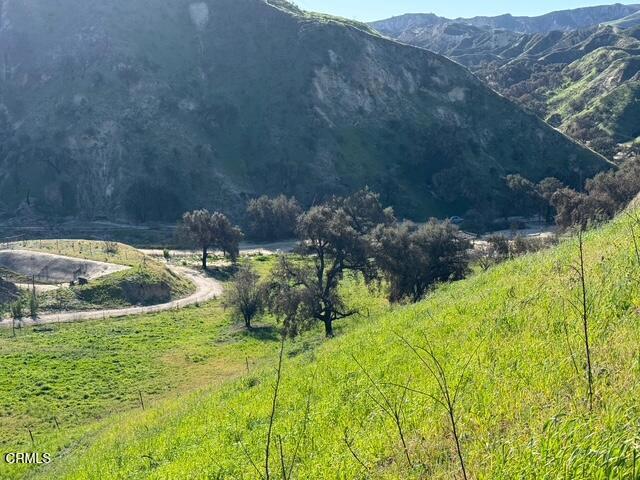 31029 Hasley Canyon Road