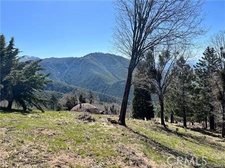 Photo of 41 Fredalba Road, Running Springs, CA 92382 (MLS # SW26122224)