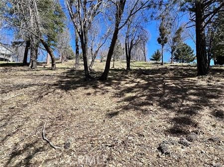 41 Fredalba Road