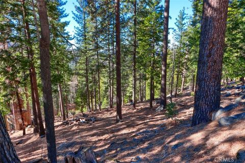 7349 & 7473 Yosemite Park Way Yosemite CA 95389