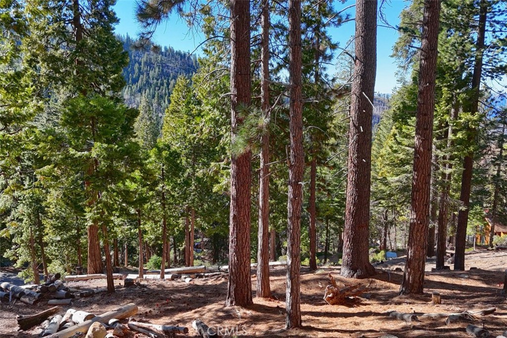 7349 & 7473 Yosemite Park Way