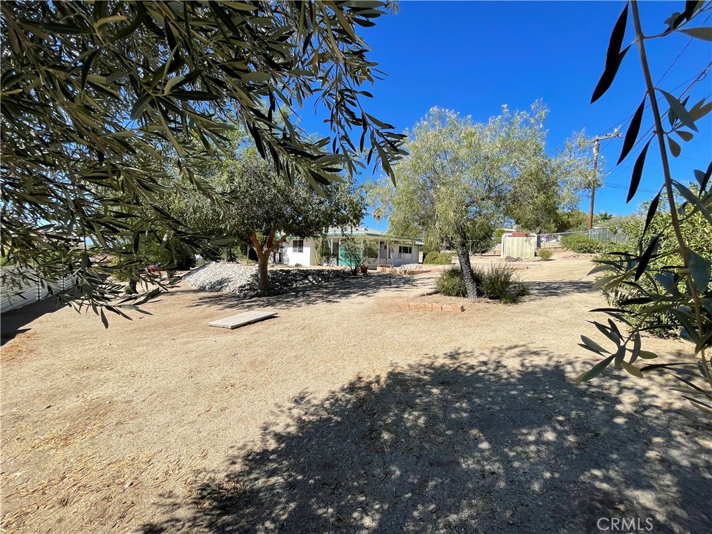 49084 Mojave