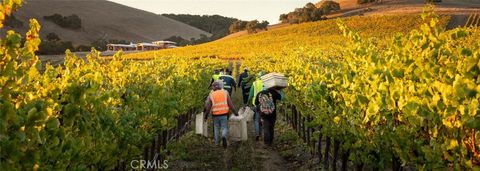 Tiny photo for 5502 Los Ranchos Road, San Luis Obispo, CA 93401 (MLS # NS25194884)