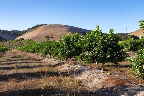 Tiny photo for 5502 Los Ranchos Road, San Luis Obispo, CA 93401 (MLS # NS25194884)
