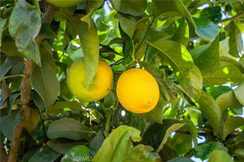 Tiny photo for 5502 Los Ranchos Road, San Luis Obispo, CA 93401 (MLS # NS25194884)