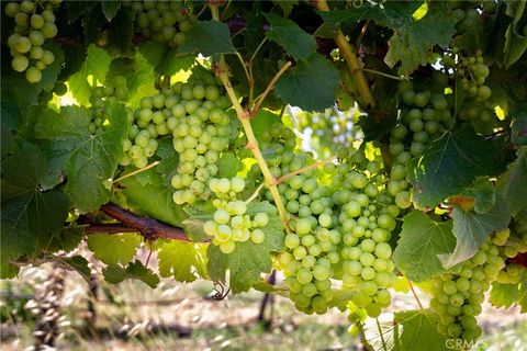 Tiny photo for 5502 Los Ranchos Road, San Luis Obispo, CA 93401 (MLS # NS25194884)