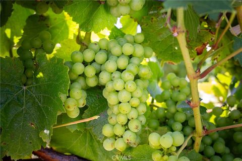 Tiny photo for 5502 Los Ranchos Road, San Luis Obispo, CA 93401 (MLS # NS25194884)