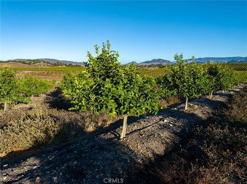 Tiny photo for 5502 Los Ranchos Road, San Luis Obispo, CA 93401 (MLS # NS25194884)