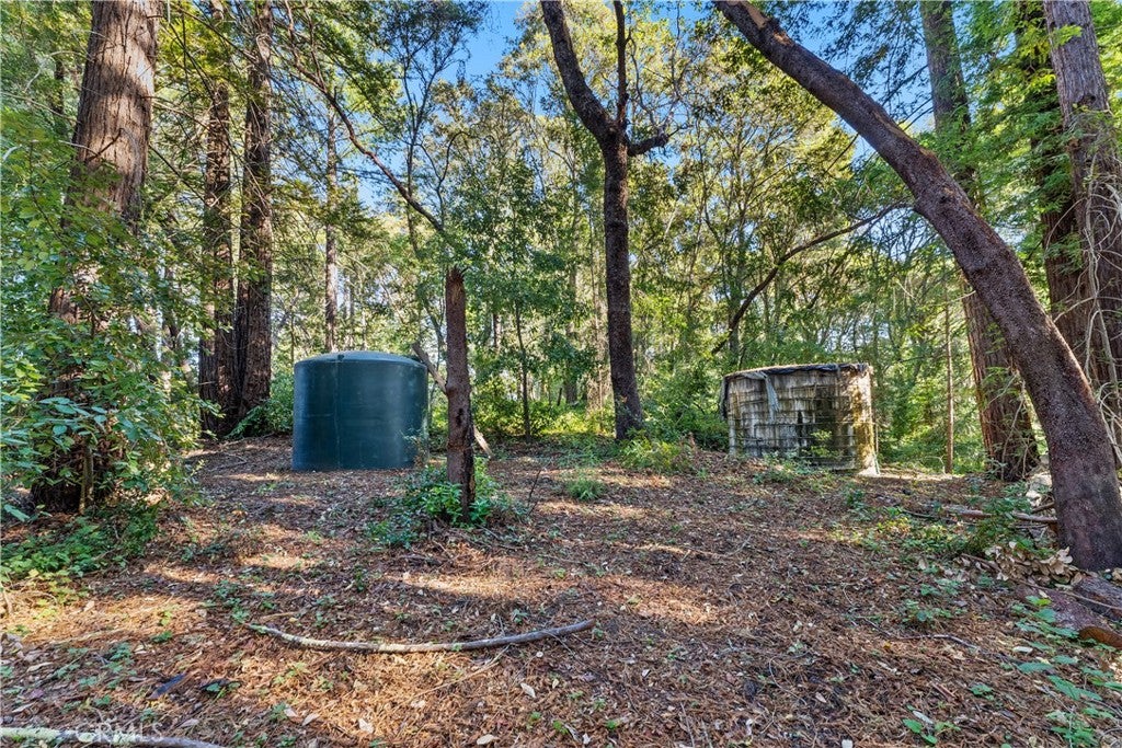 4419 Trout Gulch