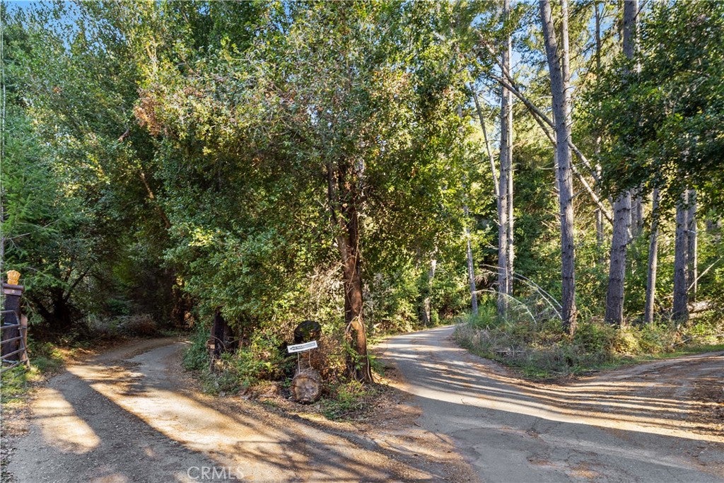 4419 Trout Gulch