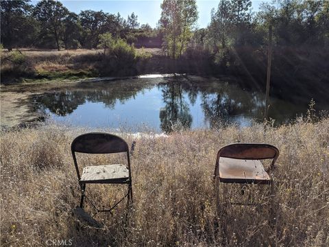 Photo of 19894 Black Bass Pass, Lower Lake, CA 95457 (MLS # LC26088681)