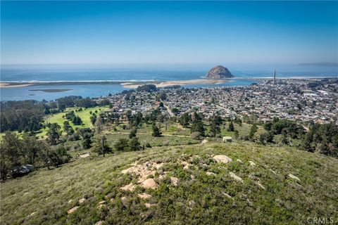 Tiny photo for 1000 Ridgeway St, Morro Bay, CA 93442 (MLS # SC26061959)