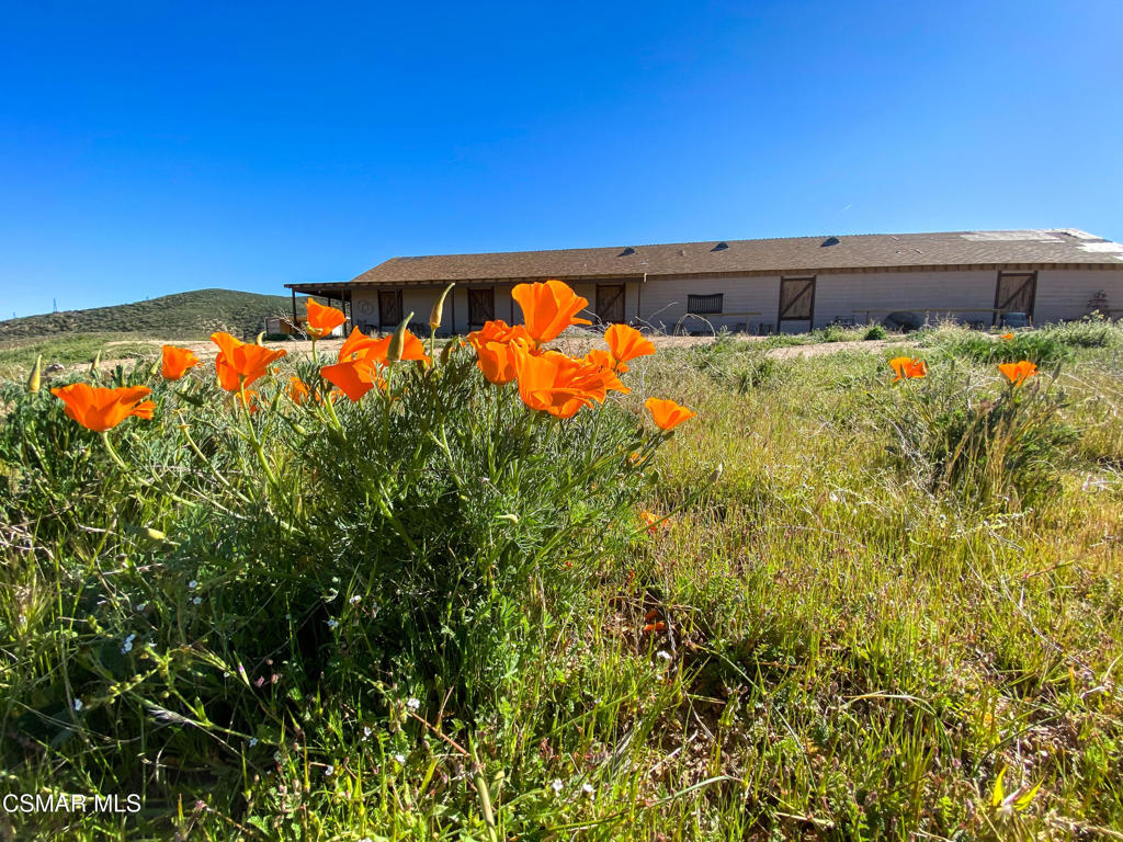 44132 Munz Ranch Road