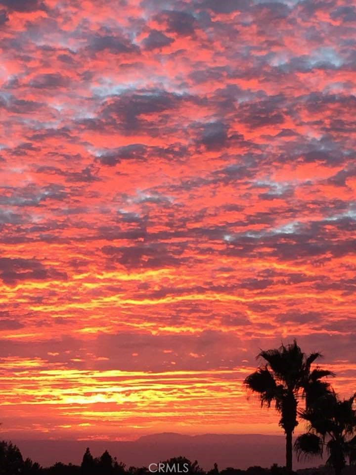 12 Los Cabos