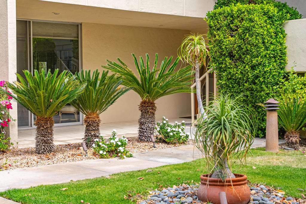 Mid-Century Modern Oasis in the Heart of Palm Springs!This beautifully renovated 2-bedroom + den, 3-bath home blends iconic design with luxurious comfort. Designed by architect Richard Harrison, the home features a chef's kitchen, OLED TVs, grand piano, and high-end finishes throughout! Relax in the private courtyard, dine under the innovative retractable awning. Both bedrooms are ensuite, offering ideal guest privacy. Enjoy access to a Ted Robinson-designed golf course, clubhouse, and 24/7 gated security.