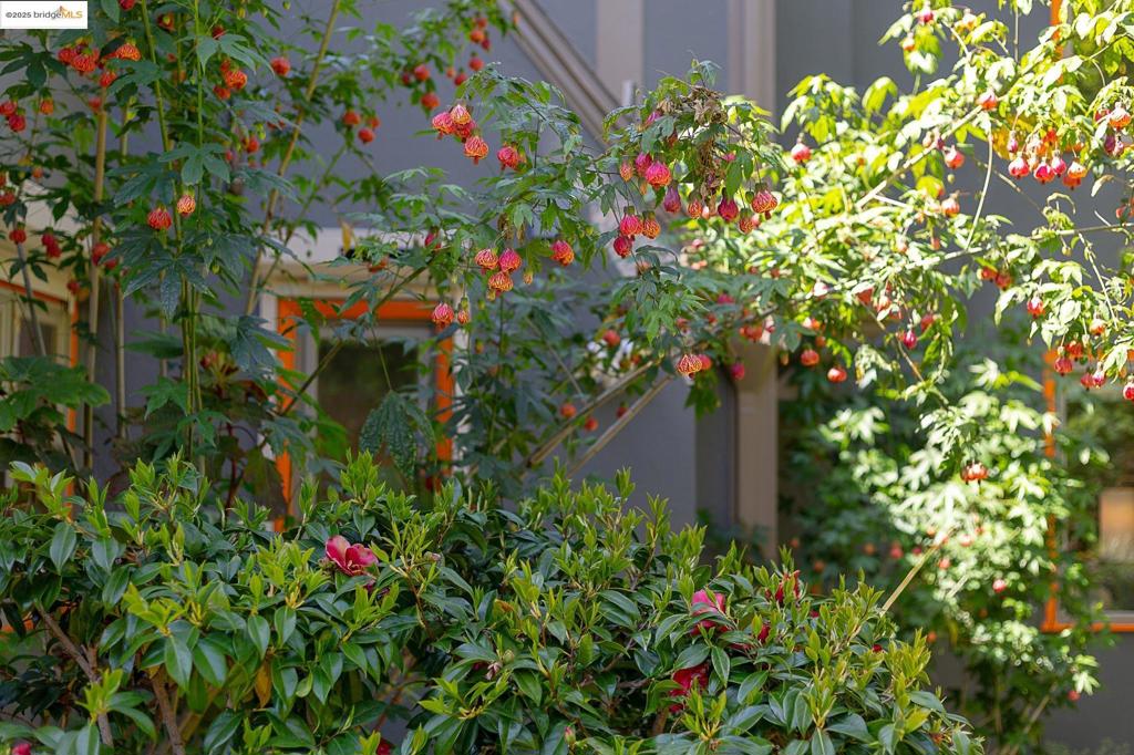 CLAREMONT - Residential