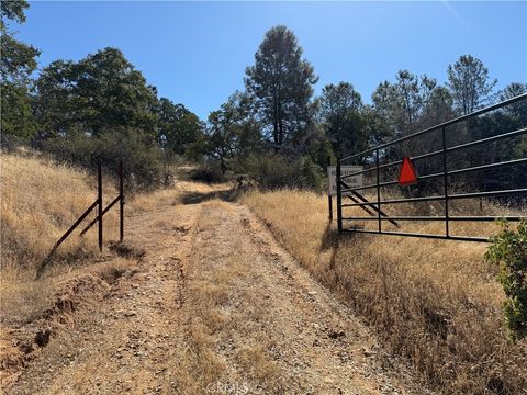 Photo of 20 Bull Pine, Mariposa, CA 95338 (MLS # MP25184769)