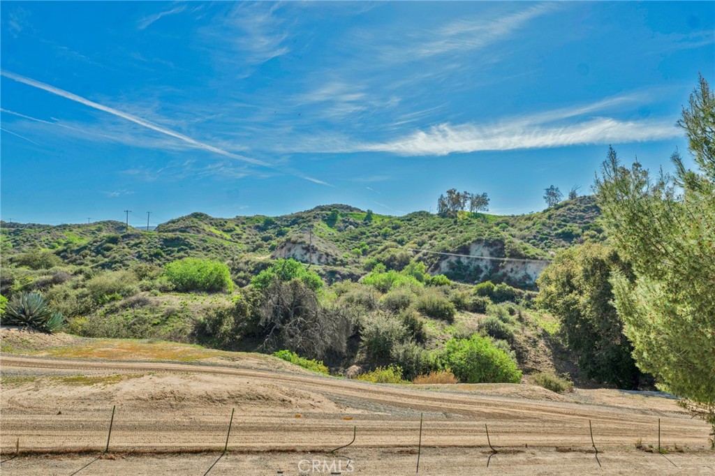 12540 Dexter Park Road