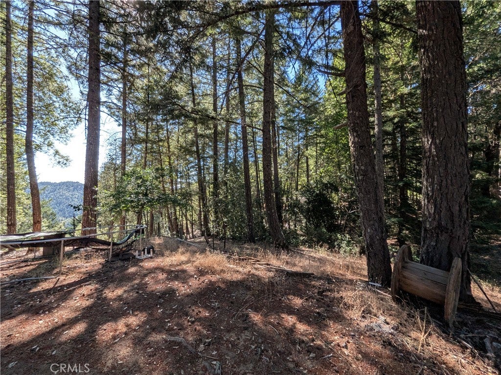 3955 Blackhawk Drive
