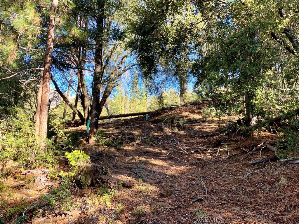 50963 Chu Ranch Road