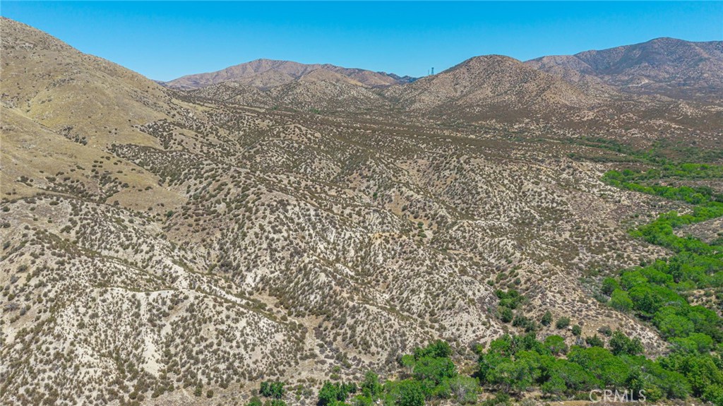 Custom Acton (CACTO) - Land