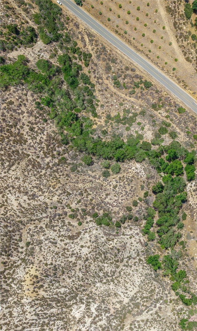 Custom Acton (CACTO) - Land