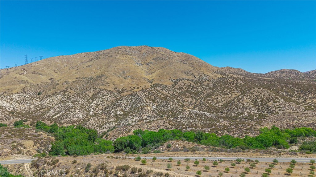 Custom Acton (CACTO) - Land