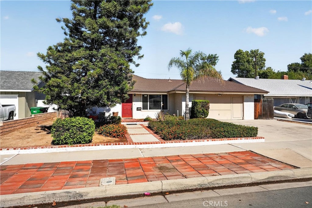 425 Blackpine