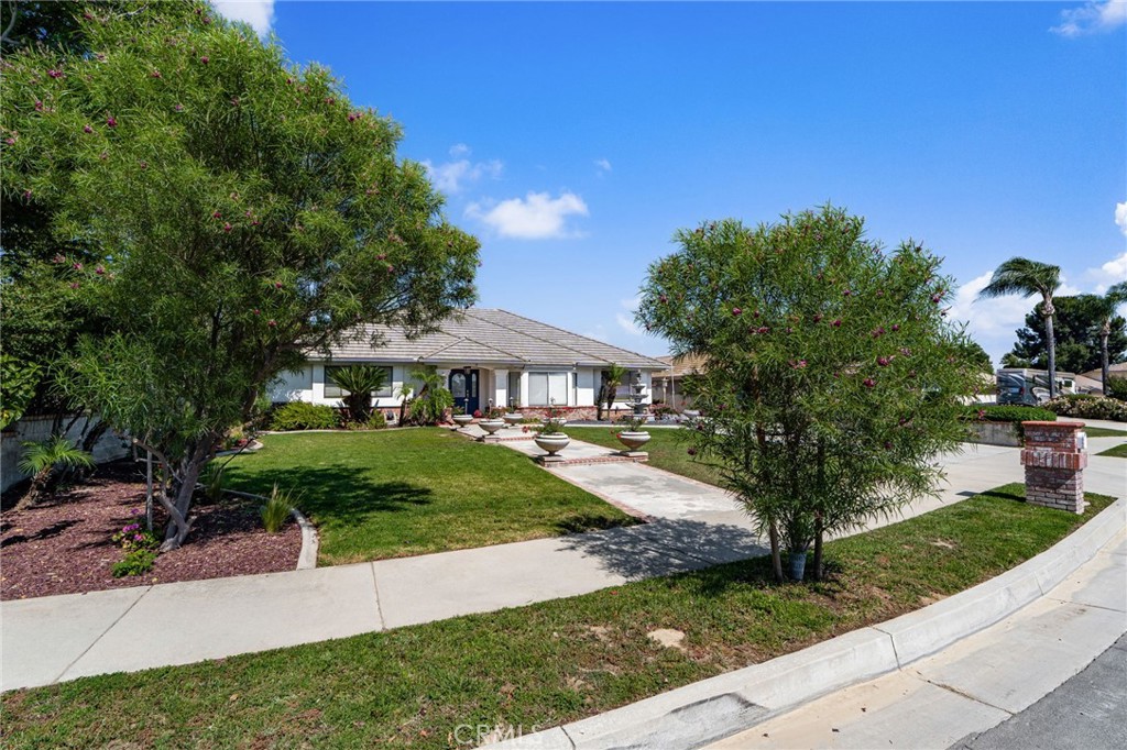 1701 S Elderberry