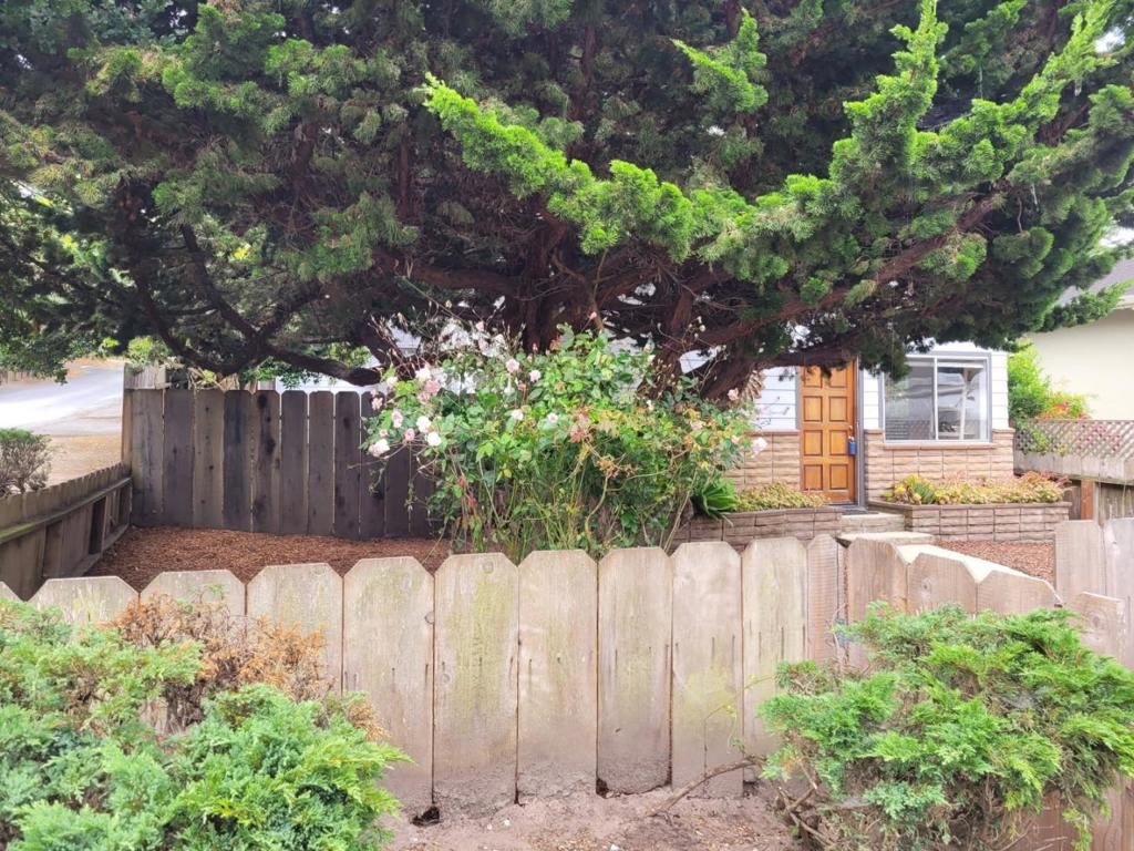 Single level 3 bedroom/2 bath home situated on a lovely corner lot across from a vacant greenbelt in Del Monte Park. Close to shopping, restaurants, adjacent to walking trails in Pebble Beach & Asilomar Beach, easy access to the highway for the hospital, Carmel, Monterey. PG schools. Some recent interior/exterior paint. Kitchen updated a few years ago. Large primary suite with outside access. Jack & Jill bathroom between bedroom 2 & 3. Completely fenced yard. Oversize 552 sq ft detached garage (lots of potential---maybe an ADU?). This could be the one you have waited for! Some Apple GPS show directions to Monterey--not in Monterey! Use Google GPS--this is Pacific Grove (above Forest). On corner of Buena Vista & David.