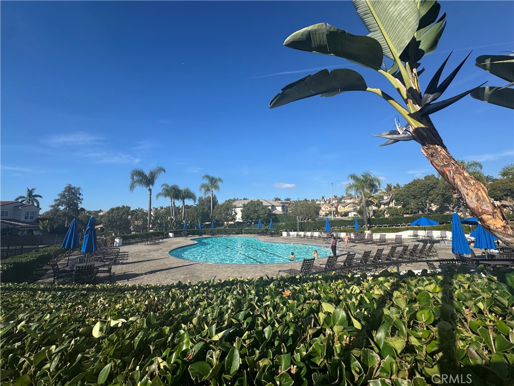 Knolls (KNOL) - Residential Lease