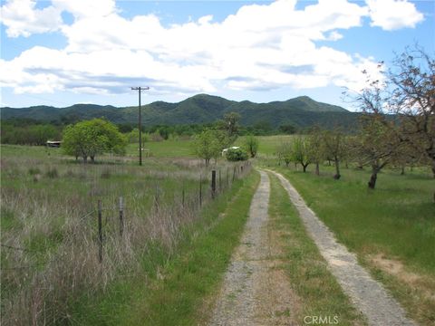 Photo of 10545 Bachelor Valley Road, Upper Lake, CA 95493 (MLS # LC25243041) Photo of 10545 Bachelor Valley Road, Upper Lake, CA 95493 (MLS # LC25243041)