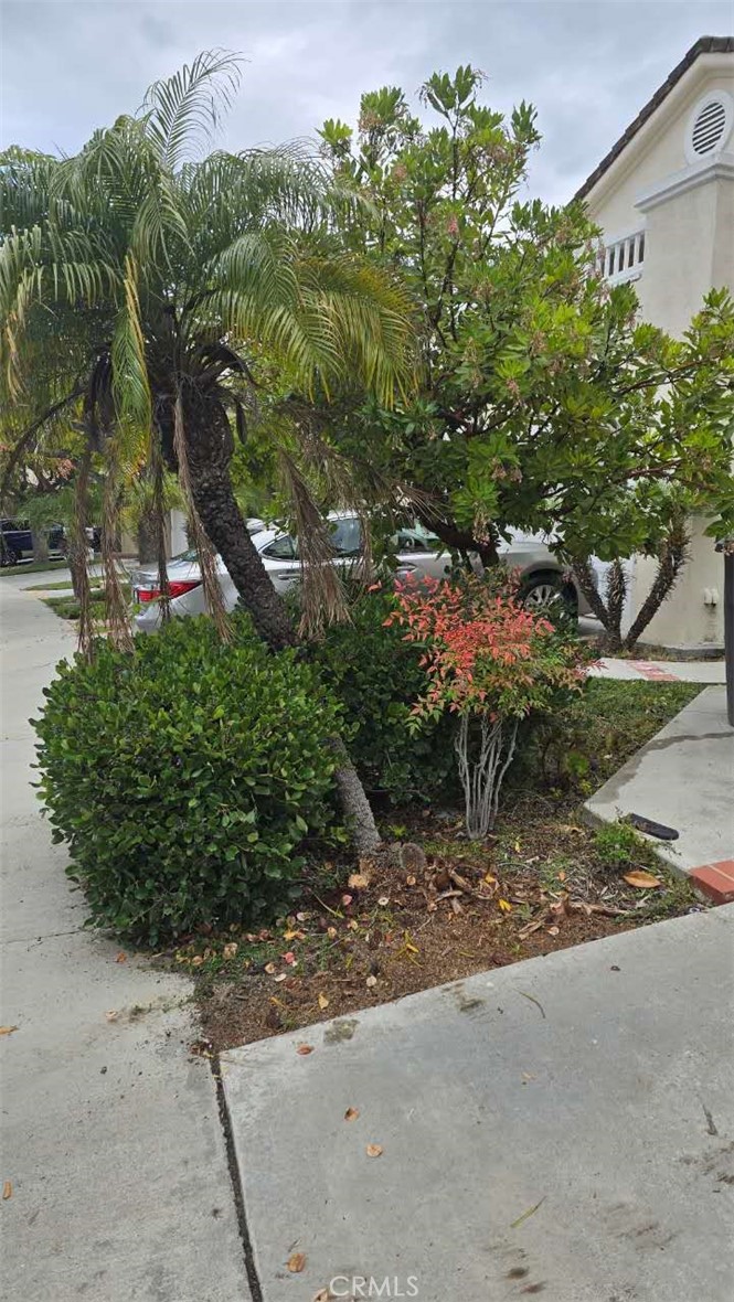 Mandeville (FMP) - Residential Lease