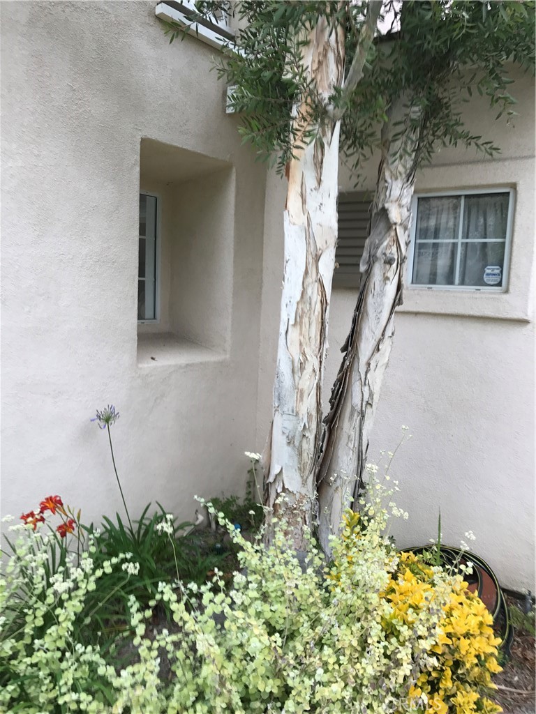 Mandeville (FMP) - Residential Lease