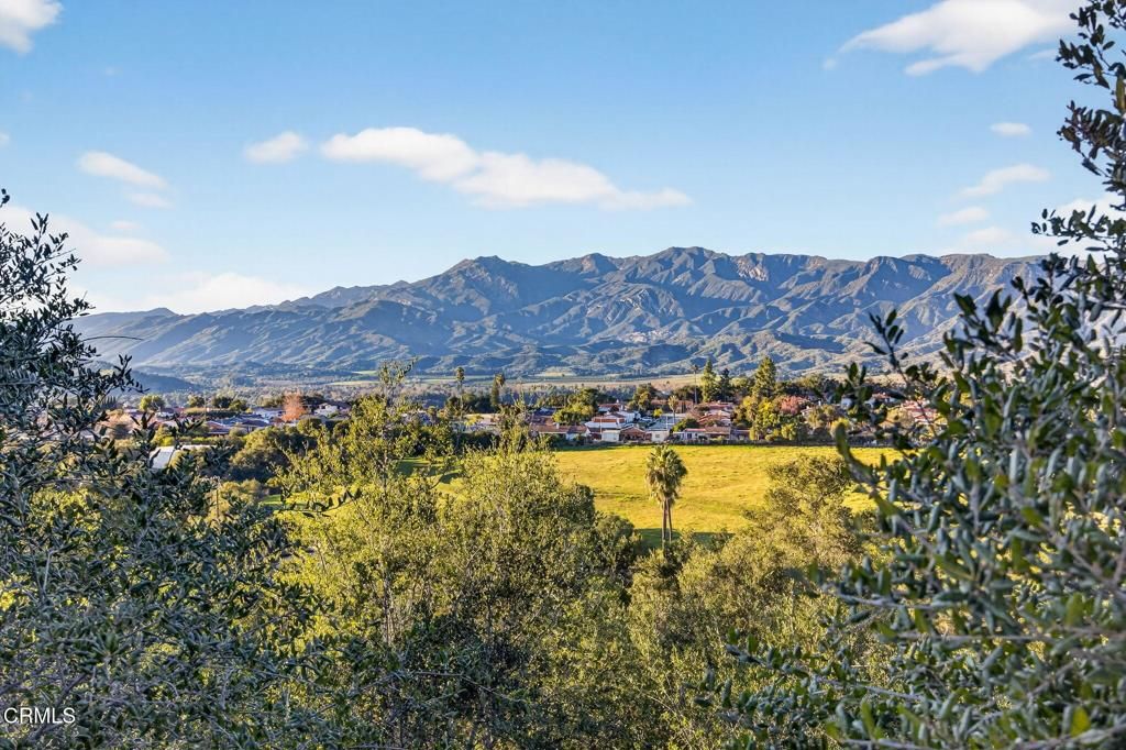 Photo of 165 Feliz Drive, Oak View, CA 93022 (MLS # V1-34226)