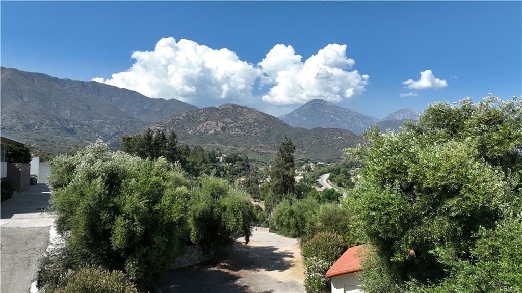 4064 Olive Knoll Place