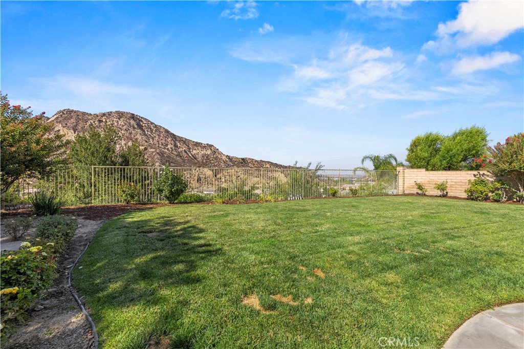 25847 Tulip Grove Street
