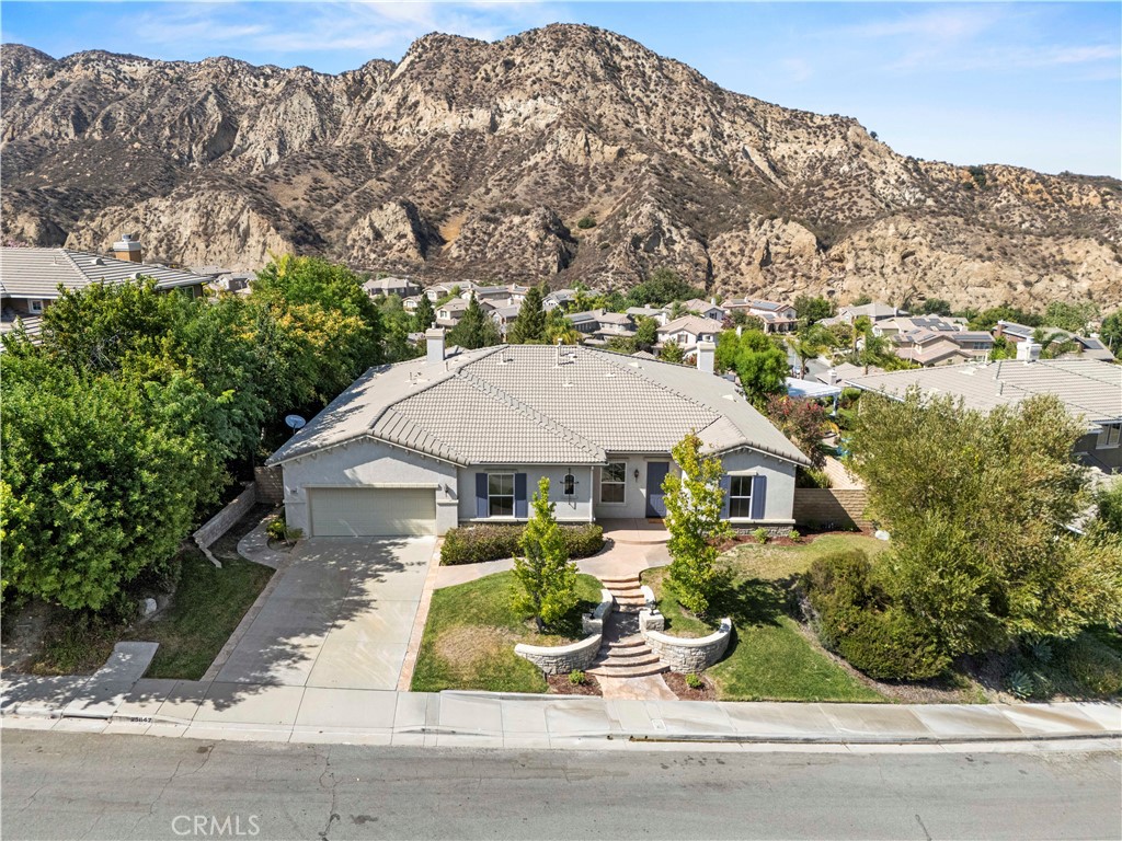 25847 Tulip Grove Street