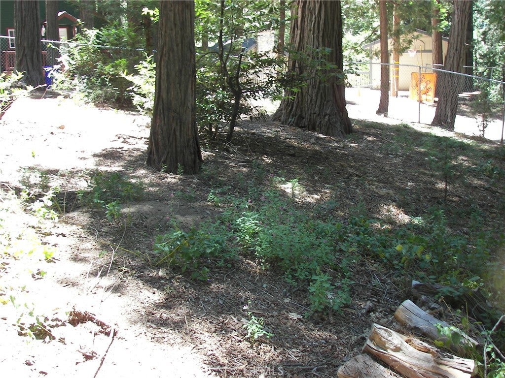 1101 Big Tree