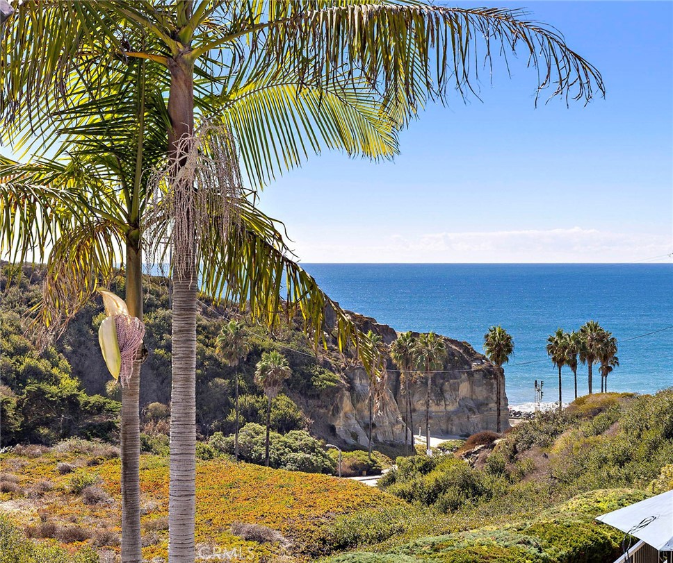 Experience coastal living at its best from this beautiful Parkview residence, where white-water ocean and bluff views offer the perfect backdrop for a relaxed beachside lifestyle! Excellent location within steps to San Clemente State Beach and the San Clemente Beach Trail! This spacious residence features crown molding, plantation shutters, and all-new custom high end lighting throughout. The living and dining rooms open to sweeping ocean views and a private patio perfect for barbecuing, entertaining, or simply watching the waves. The remodeled kitchen showcases granite countertops, newer soft-closing cabinetry, walk-in pantry, and brand-new stainless-steel appliances. A skylight and plantation shutters bathe the space in natural light. Three inviting bedrooms offer comfort and style. The primary bedroom features dual closets, upgraded lighting and fan, plantation shutters, and a walk-in shower. The guest bedrooms each include mirrored closets and modern lighting, while one of the bedrooms boasts a murphy bed and built-in desk. Both bathrooms are finished in granite with newer soft-close cabinetry, Toto toilets, and upgraded lighting. Additional highlights include a laundry area with a brand-new washer and dryer, new sliding door, and a heavy-duty security entry door with upgraded hardware. Enjoy two designated parking spaces with overhead storage in the gated underground garage plus guest parking and dedicated areas for e-bikes and surfboards. Parkview residents enjoy resort-style amenities including a heated pool and spa, lush landscaping, upgraded pool shower, and secure gated entry. HOA dues include water, sewer, trash, and Cox cable. Lasty year the building was painted, had all new railings installed, new decking and steps. Located adjacent to San Clemente’s scenic dog park and steps from the beach trail, this quiet and private complex offers the ideal blend of community and coastal serenity while being close to everything San Clemente has to offer!